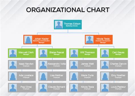 Organizational Chart Template Free Psd Template Business Psd