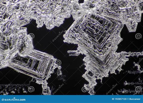Microscopic View Of Sodium Chloride Crystals Stock Photo Image Of