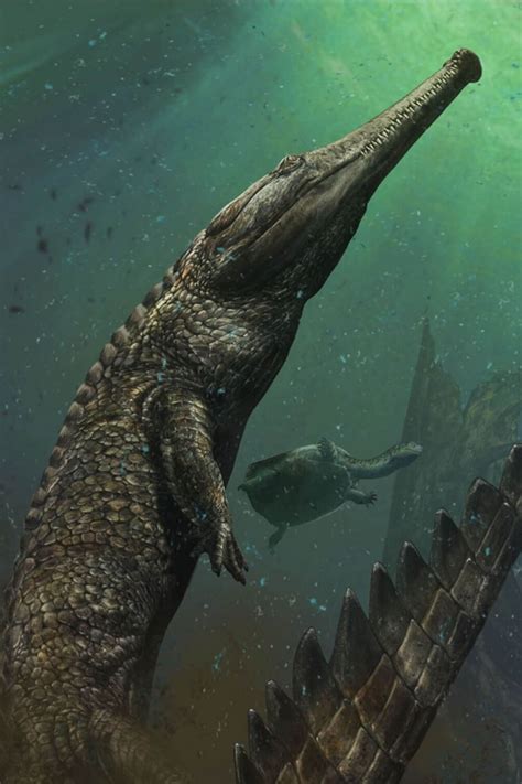 Enormous Crocodile Lived Alongside Titanosaurs And Abelisaurid