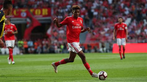 Gedson fernandes, 21, from portugal tottenham hotspur, since 2019 central midfield market value: Gedson Fernandes, el orgullo santotomense - Futbol Sapiens