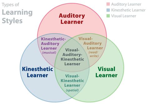 Discover Your Learning Style The Definitive Guide