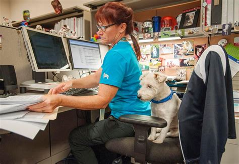 The pet insurance market, which covers cats and dogs, has seen annual growth of nearly 20% and was worth roughly $450 million at the end of march last year, according to a private survey reported in. Fido need surgery? Brea-based division of Nationwide stays atop insurance market - Orange County ...