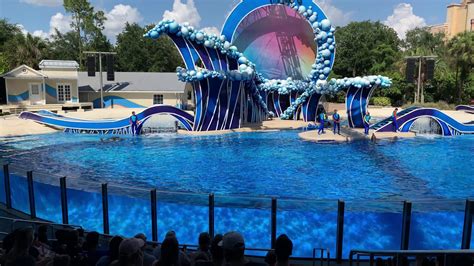 Seaworld Orlando Florida Dolphin Show Full Show 4k Youtube