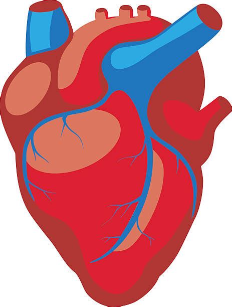 Heart Svg Bundle Heart Cliparts Heart Svg File