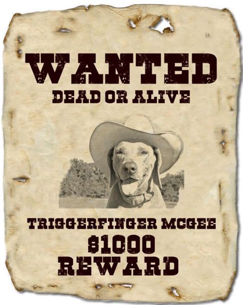 Wanted Poster Creator Make A Wanted Poster Poster Creator Photo Frame Editor Poster Template