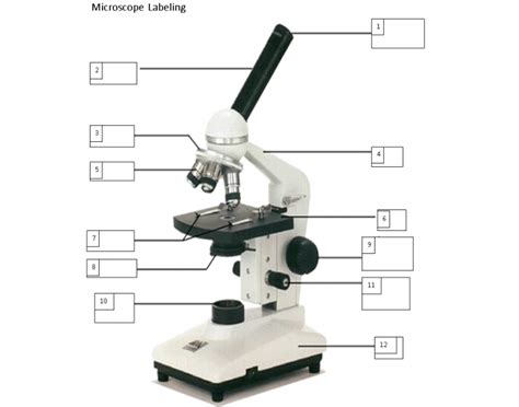 For monocular microscopes, they are none flexible. Microscope Labeling - PurposeGames