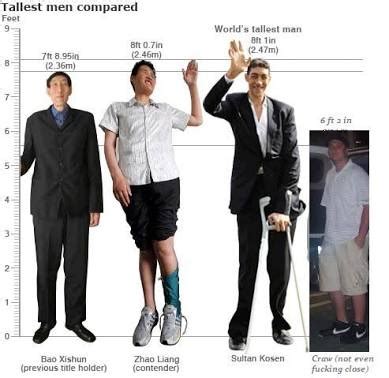 How high is 6 foot 1? Would you consider 6'1' (185 cm) tall for a guy? - Quora