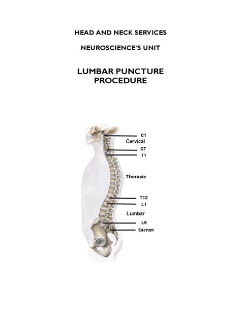 Lumbar Puncture Cerebrospinal Fluid Spinal Cord