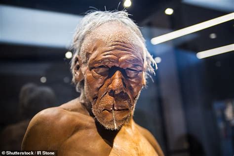 Neanderthals Would Have Looked Like They Had ‘been In The Wars