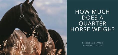 680 x 680 jpeg 37 кб. How Much Does a Quarter Horse Weigh? | The Horse Dispatch