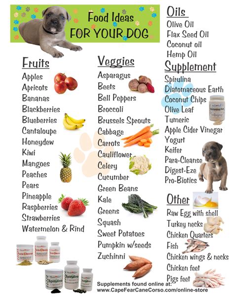 Foods Your Dog Can And Cannot Eat