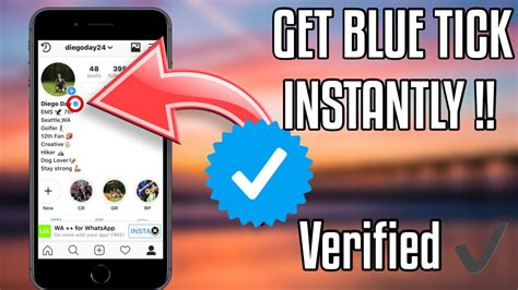 How To Get The Blue Tickverified Instantly On Instagram Iosandroid