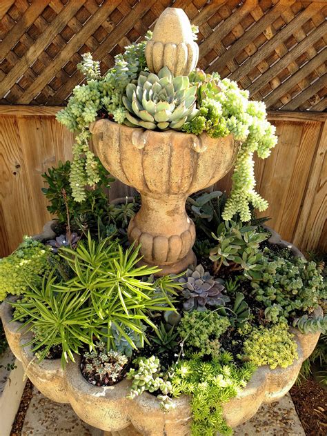 Make A Beautiful Succulent Planter Out Of An Old Bird Bath House Plant
