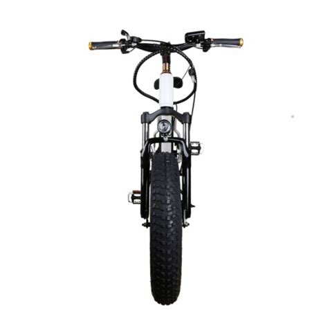 Nakto 20 Inch Fat Tire 36v Battery Powered Electric Bicycle Mini