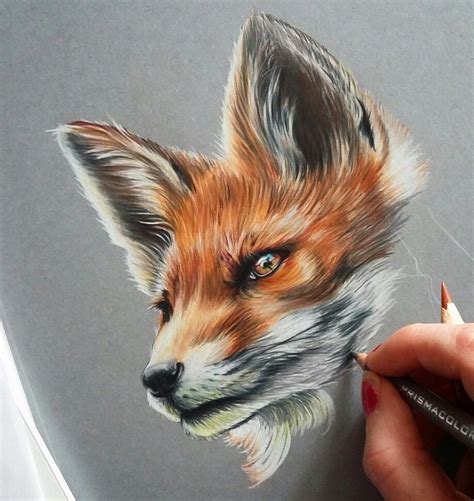 Prismacolor Realistic Fox Drawing 3d Art Drawing Realistic Animal