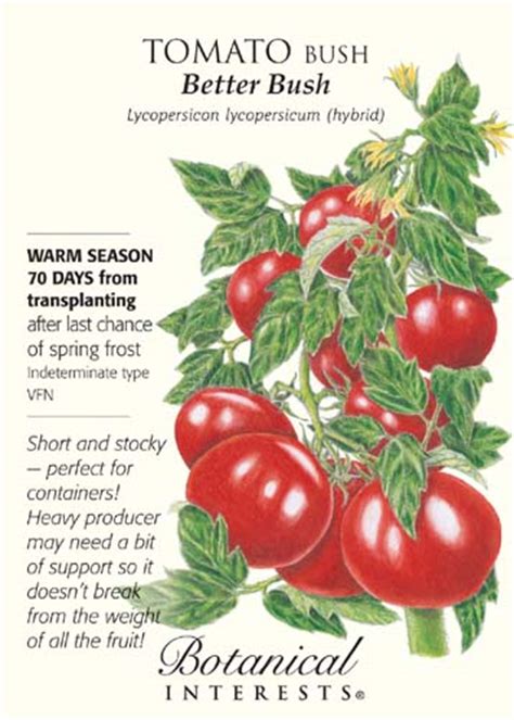 Better Bush Tomato 24 Seeds Botanical Interests Ebay