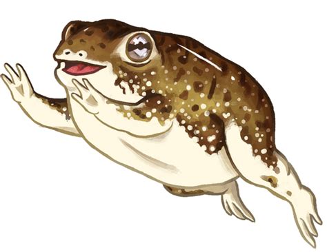 Desert Rain Frog Speedpaint By Poppymori On Deviantart