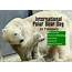International Polar Bear Day Observed At And With IHE