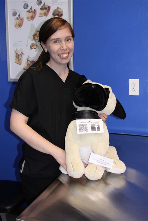 We strive to give your pet the best care at the best price. BaseLineVet.com | Veterinarian Animal Clinic Serving the ...