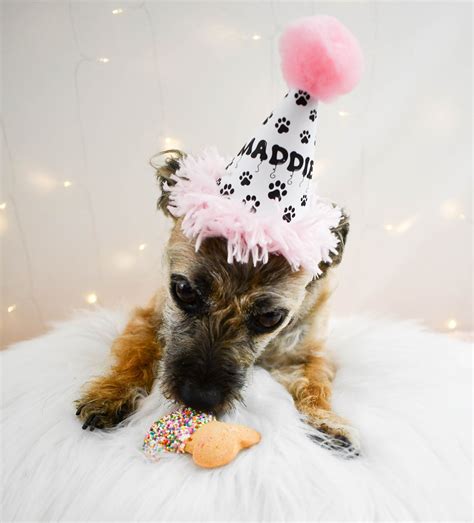 Personalized Dog Birthday Hat Party Hat For Dog Puppy Party Etsy