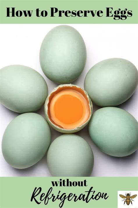 They have a decent shelf life but will be better when kept cool. Preserving Eggs in Lime Water | Preserving eggs, Storing ...