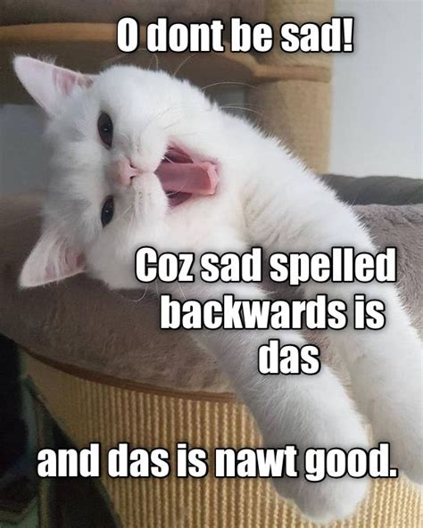 See more ideas about grief quotes, quotes, miss you dad. Pin på Ha! Funny.