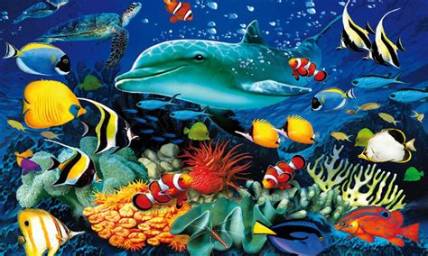 Ocean Underwater World Marine Life Dolphin Sea Turtle Colorful Tropical Fish Coral Wallpaper