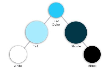 How To Use Tints And Shades In Your Designs