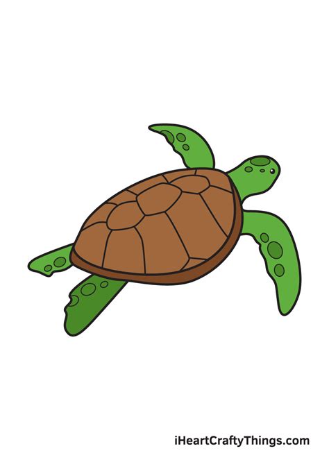 Hướng dẫn chi tiết cách vẽ con rùa từng bước