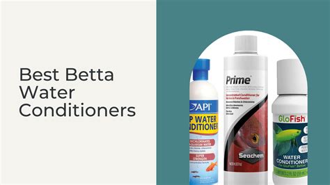 5 Best Betta Water Conditioners In 2023 Wild Aquarist