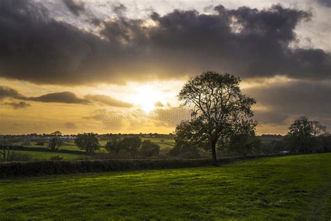Sunset In Farm Fields With Tree And Beautiful Cloudy Sky