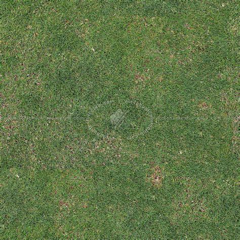 Seamless Golf Green Grass Texture Maps Texturise Free Seamless My Xxx