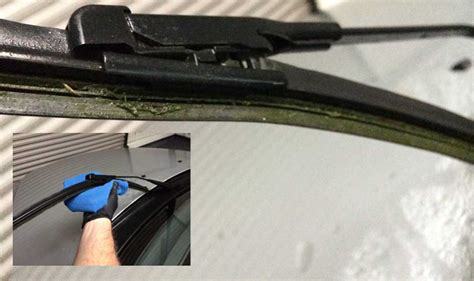 Are Wiper Blades Universal Top Pro Tips