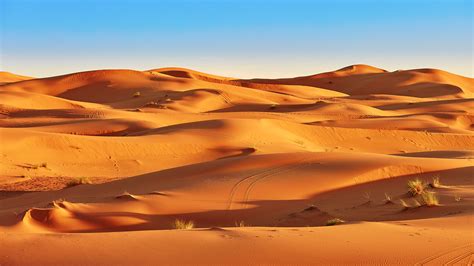 Wallpaper Nature Landscape Desert Sand Sahara Clear Sky Africa Dunes Plants Tire