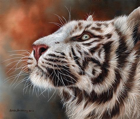 White Tiger Painting By Sarah Stribbling Pixels
