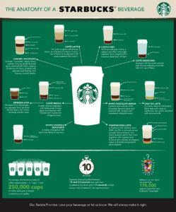 infographic  anatomy  starbucks beverage starbucks stories