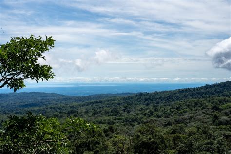 Diez Actividades Imprescindibles En Las Llanuras Del Norte De Costa Rica