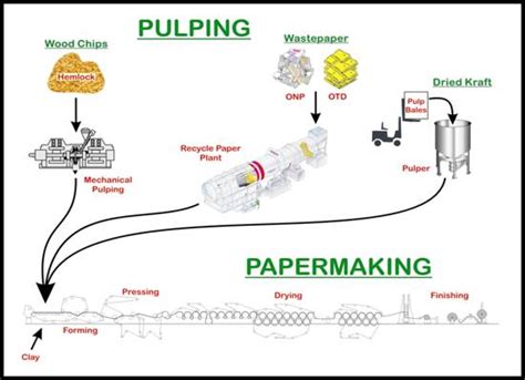 Infinite English Literature A How To Make Paper From Woodchips By