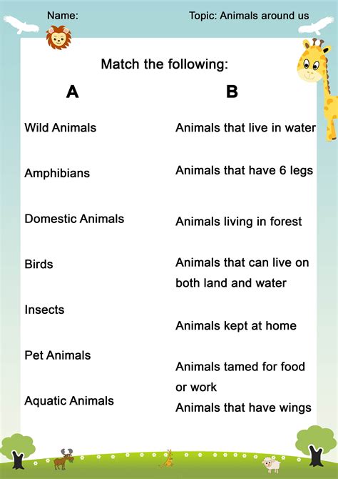 Evs Worksheets For Class 1 On Animals