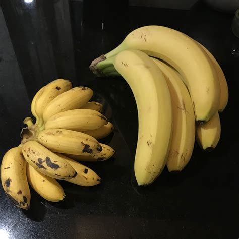 Bananas For Scale