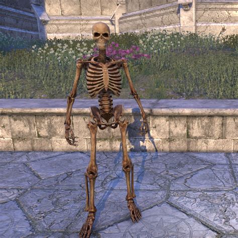 Online Skeleton Polymorph The Unofficial Elder Scrolls Pages UESP