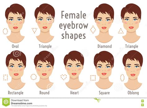Eyebrow Shapes Suitable To Different Woman Type Face