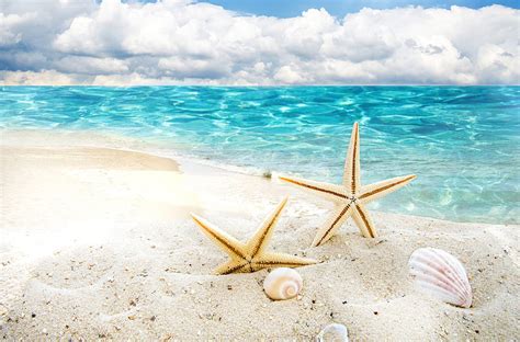 Happy Summer Blue Sea Starfish White Sand Beach Summer Water