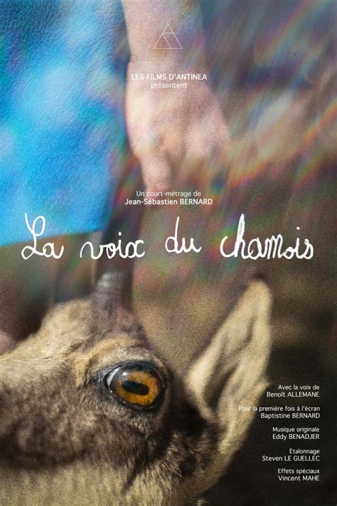 Les Films D Antinea France Unifrance