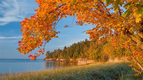 Autumn Lake Trees Landscape Michigan Wallpapers Hd