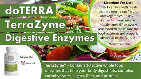 Terrazyme Gi Tract Enzymes Doterra Fruits And Vegetables Cantaloupe