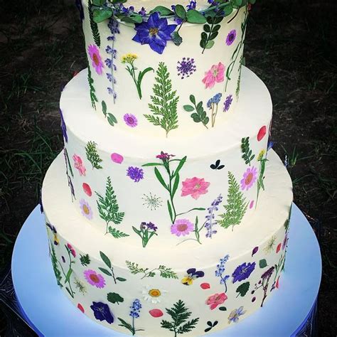 Storeybook Cakes Llc Storeybookcakes Instagram Photos And Videos