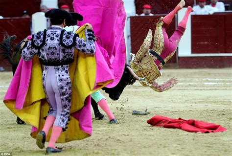 Matador Is Gored In The Rear By A 1000lb Bull In Colombia Daily Mail Online