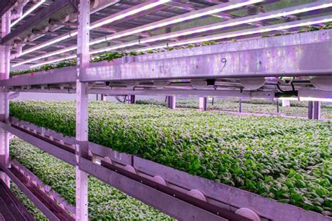 Futuristic Farming Tech To Solve Food Crisis Hortimedia