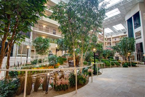 Indoor Atrium Trees And Plants At Senior Living Community Treescapes